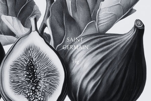 Fig Candle by Saint Germain: A Sophisticated Scent Inspired by Parisian Charm